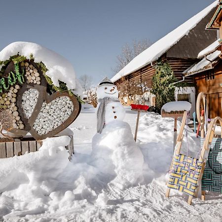 Biobauernhof Brandlhof Apartment Ramsau am Dachstein Ngoại thất bức ảnh