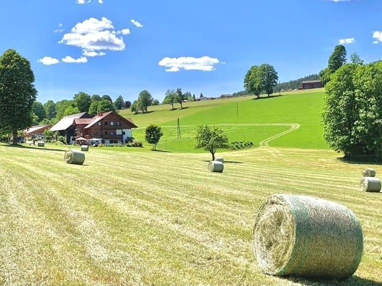 Biobauernhof Brandlhof Apartment Ramsau am Dachstein Ngoại thất bức ảnh