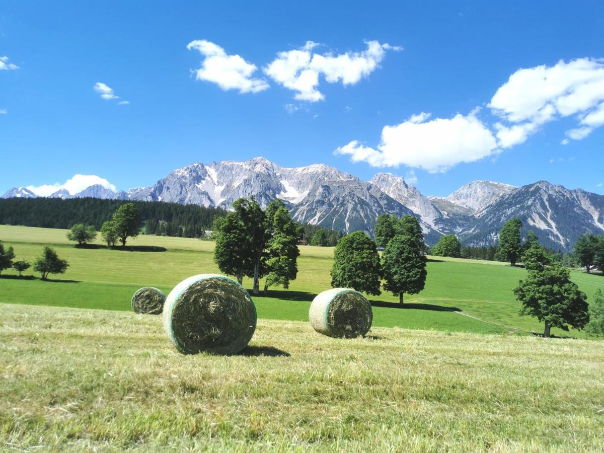 Biobauernhof Brandlhof Apartment Ramsau am Dachstein Ngoại thất bức ảnh