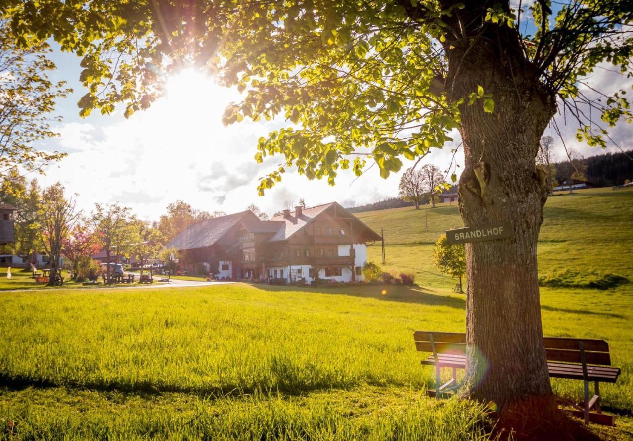 Biobauernhof Brandlhof Apartment Ramsau am Dachstein Ngoại thất bức ảnh