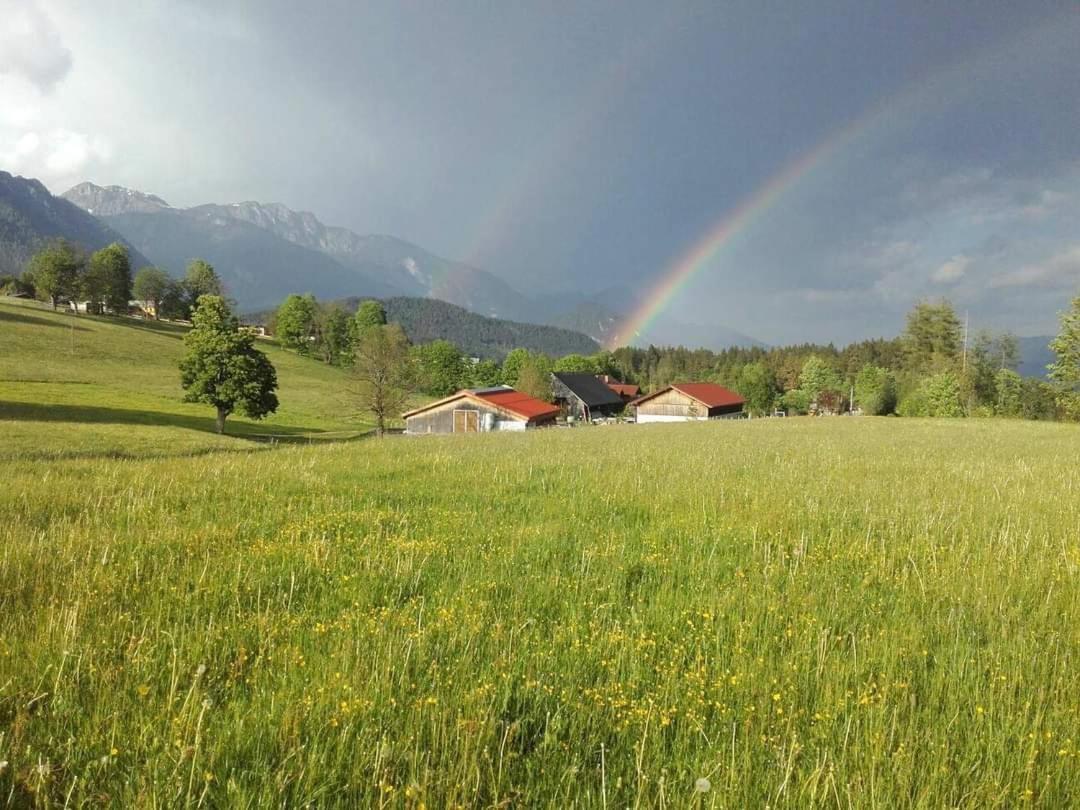Biobauernhof Brandlhof Apartment Ramsau am Dachstein Ngoại thất bức ảnh