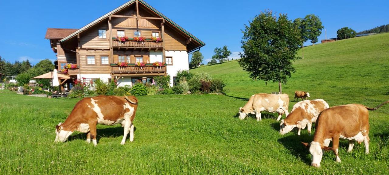 Biobauernhof Brandlhof Apartment Ramsau am Dachstein Ngoại thất bức ảnh