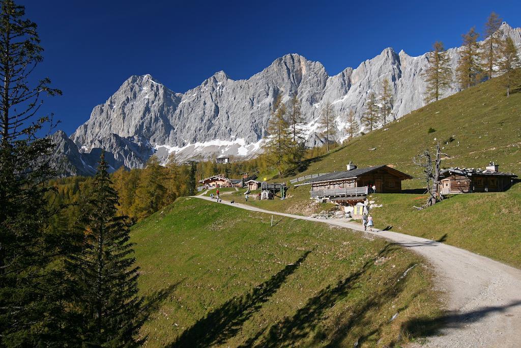 Biobauernhof Brandlhof Apartment Ramsau am Dachstein Ngoại thất bức ảnh